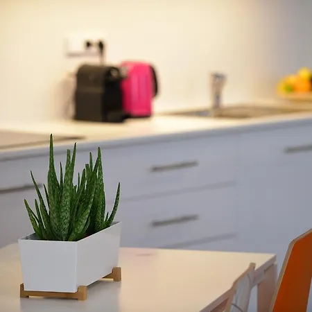 New Studio דירה *